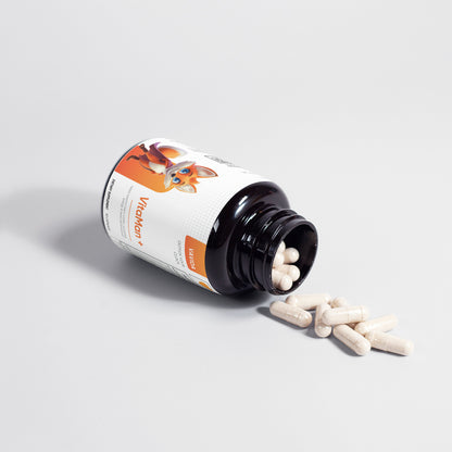 VAVIDA VitaMan+ Capsules