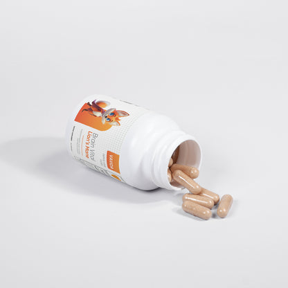 VAVIDA Brain Vital Lion's Mane Capsules